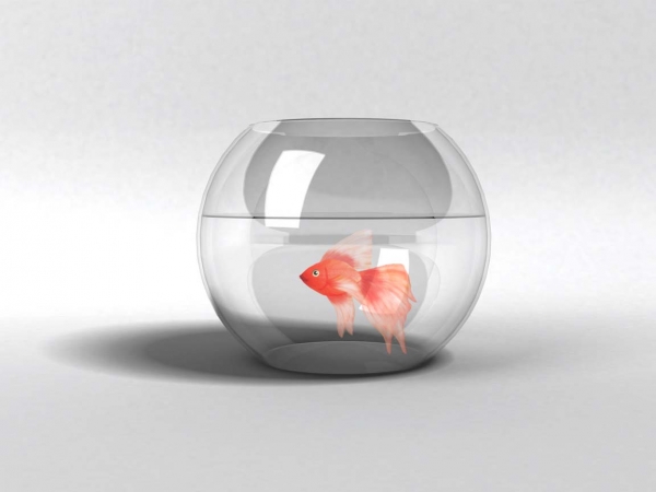 Creation of Fish bowl: Step 9